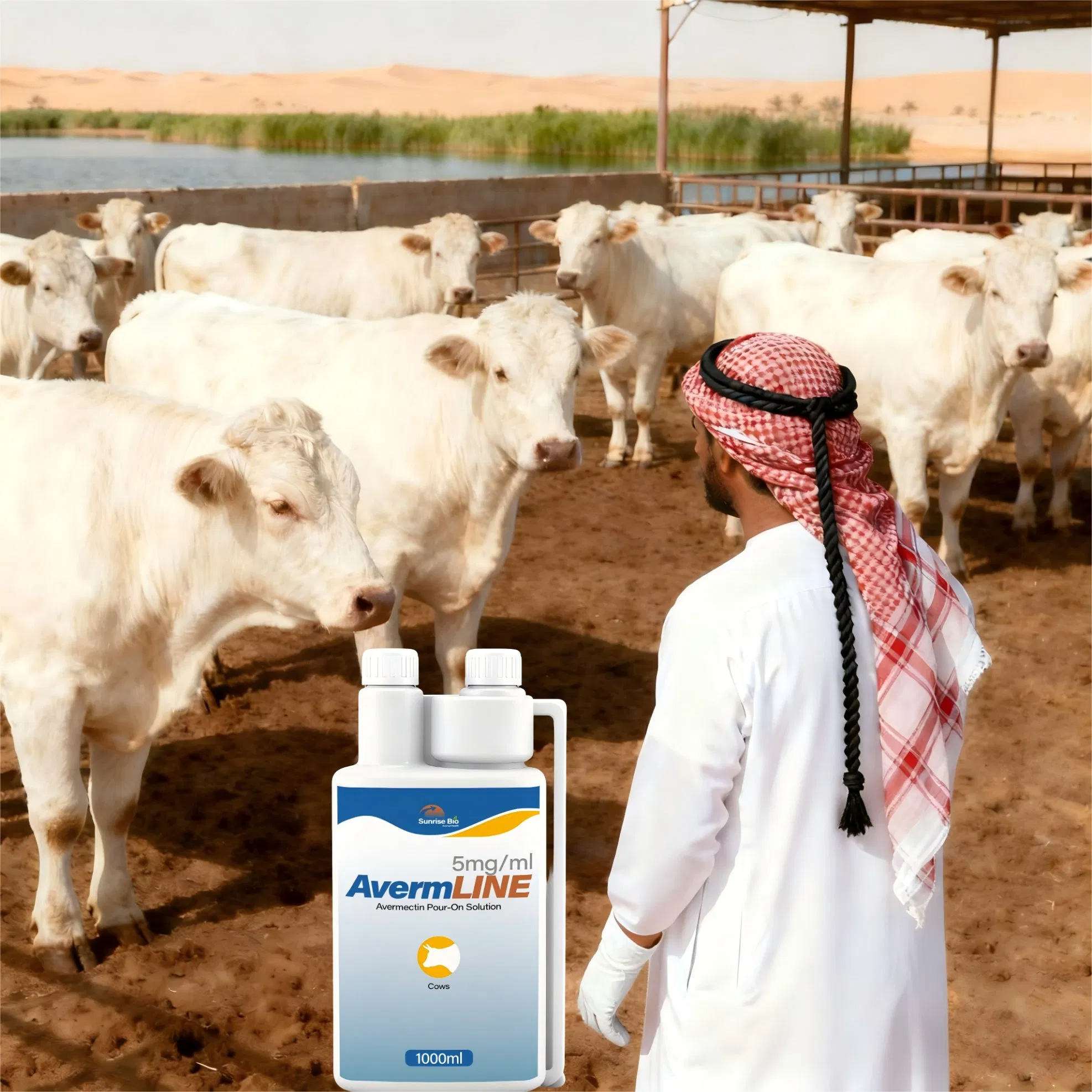 Veterinary Medicine Avermectin Pour-on Solution 5mg/Ml for Cattle Treatment