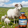 Veterinary Medicine Cloprostenol Injection for Livestock Reproduction Control