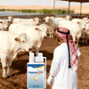 Avermectin Pour-on Solution for Cows - Choose 1000ml or 4000ml Size