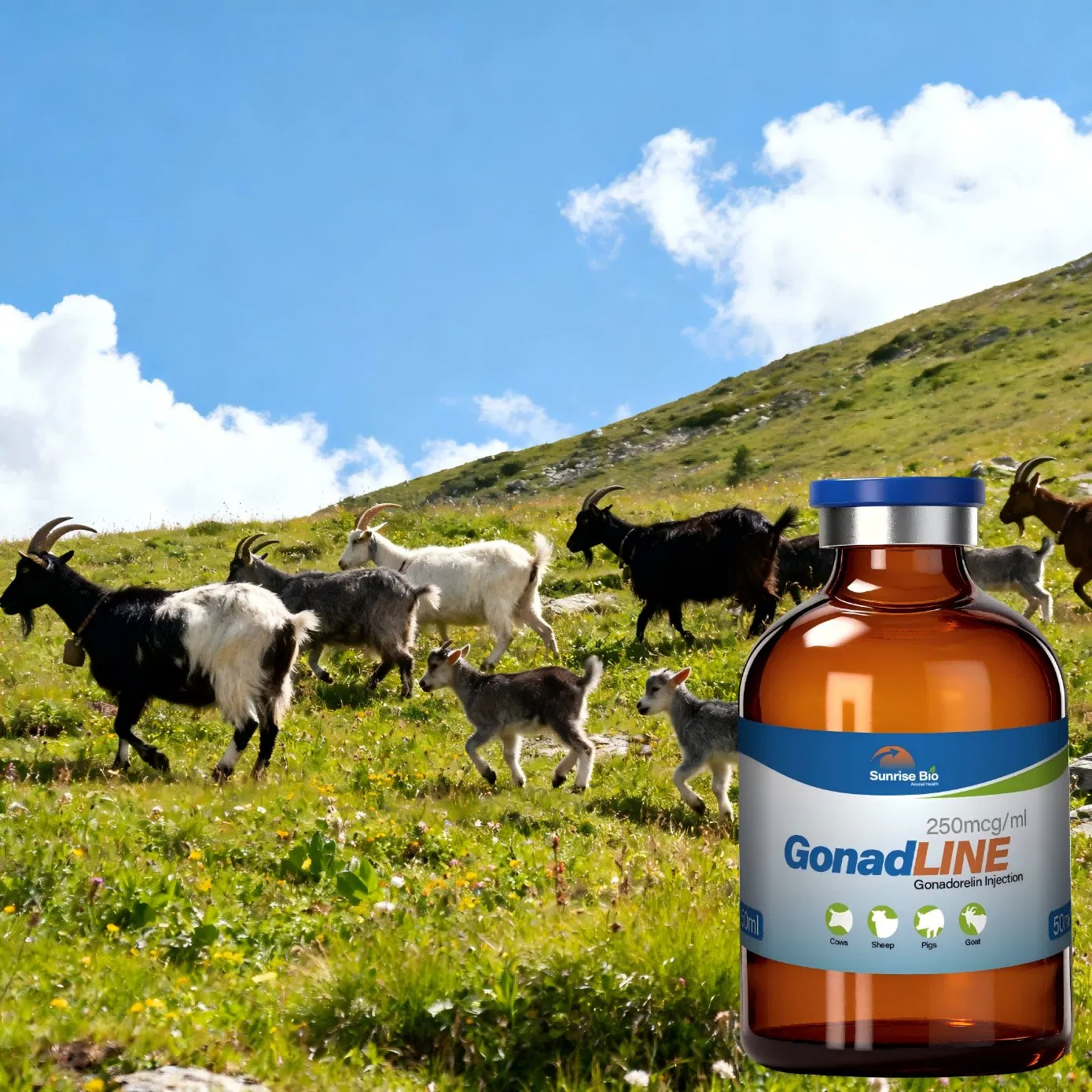 Veterinary Medicine Gonadorelin Injection 250mcg Ml for Livestock Reproduction