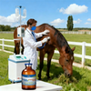 Veterinary Medicine Sulfadiazine Trimethoprim Injection for Animal Infections