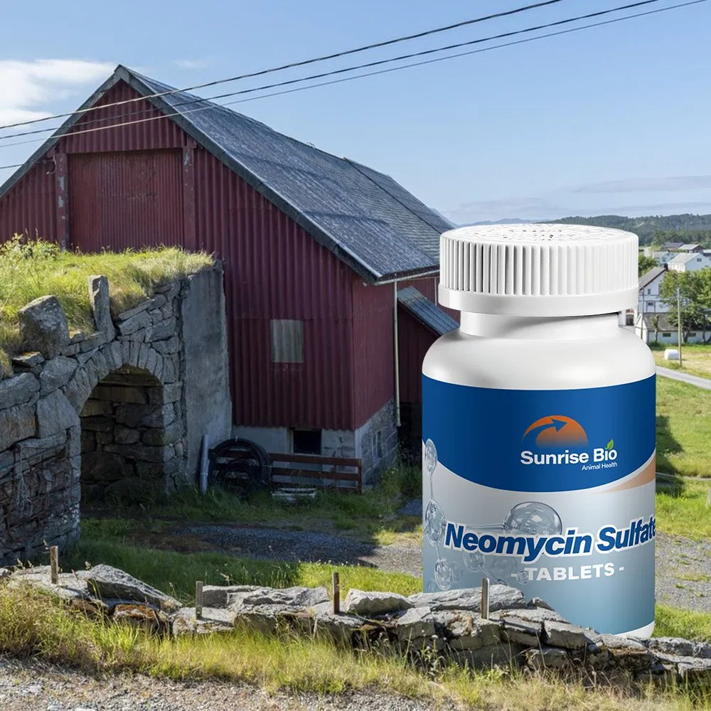Neomycin Sulfate Tablets Broad Spectrum Antibacterial for Livestock Intestinal Infections