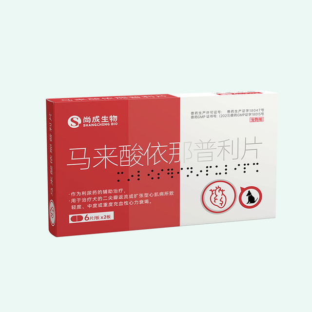 Enalapril Maleate Tablets