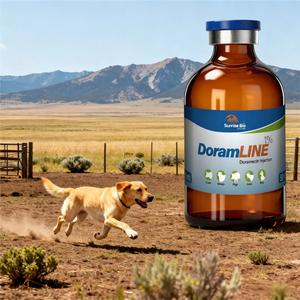 Broad Spectrum Doramectin Injection for Livestock and Companion Animals Care