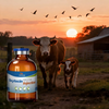 Veterinary Medicine Oxytocin Injection for Animal Reproduction Management Livestock Health