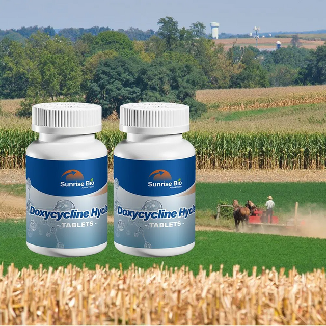 Doxycycline Hyclate Tablets 50mg Broad Spectrum Antibiotic for Livestock Bacterial Infections