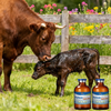 Veterinary Medicine Oxytocin Injection for Animal Reproduction Management Livestock Health