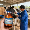 Oxytetracycline Injection 20% Long Acting Veterinary Antibiotic for Cattle and Sheep